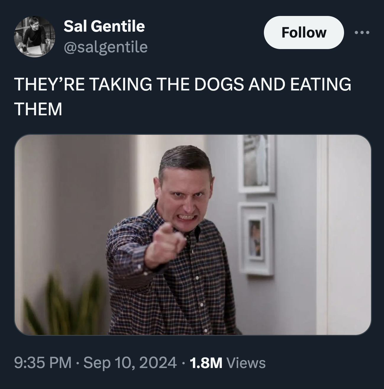 tim robinson i think you should leave - Sal Gentile They'Re Taking The Dogs And Eating Them 1.8M Views